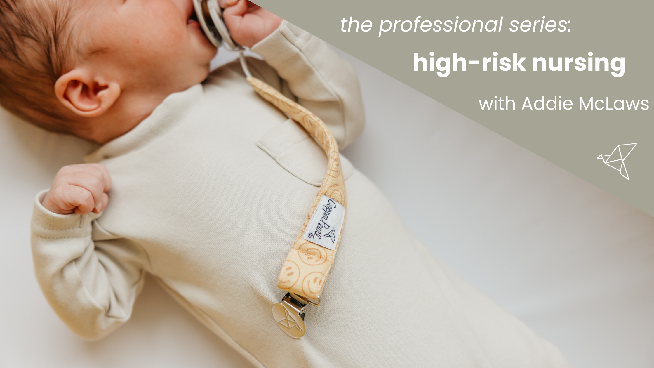 Professional Series - High Risk Nursing with Addie McLaws