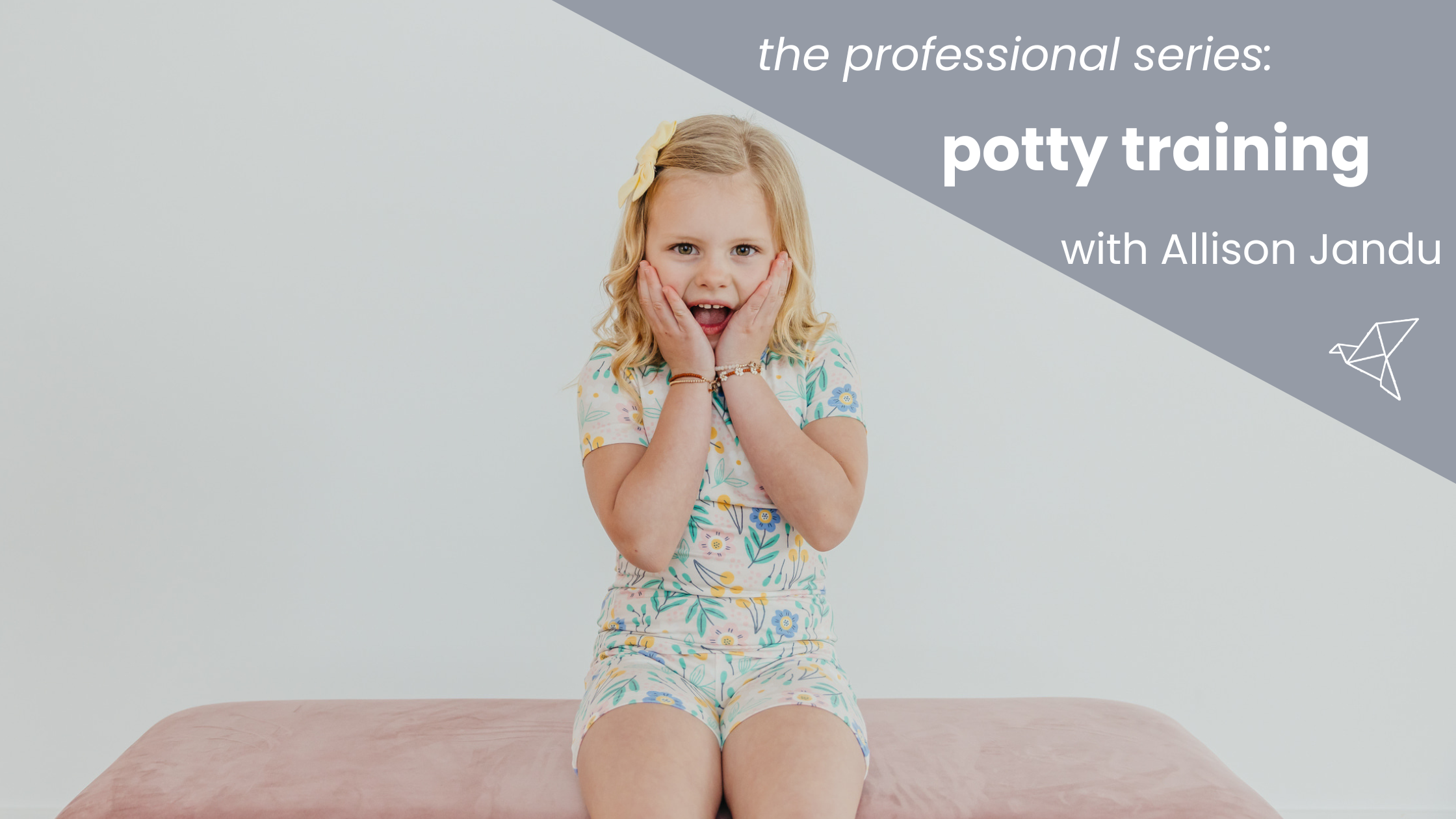 Professional Series - Potty Training with Allison Jandu