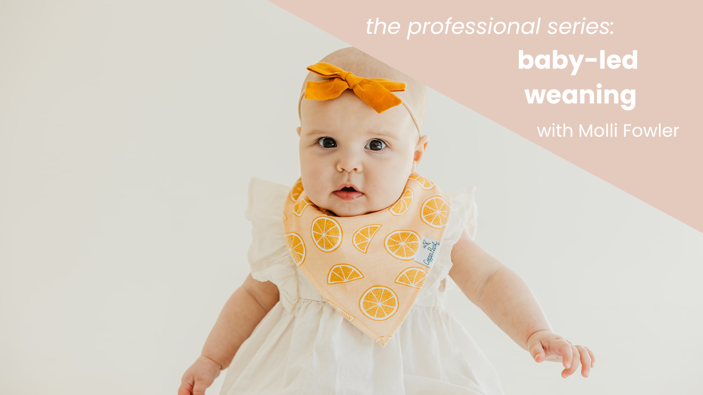 Professional Series - Baby-Led Weaning with Molli Fowler