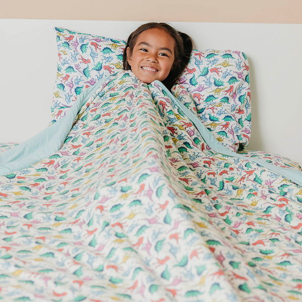 Twin Cloud Comforter