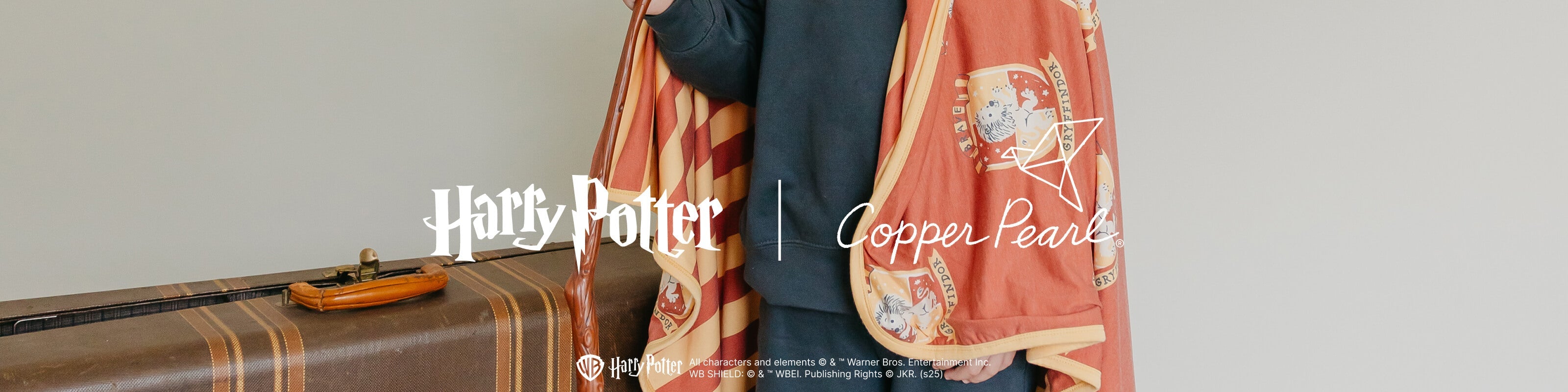 Wizarding World™ Houses