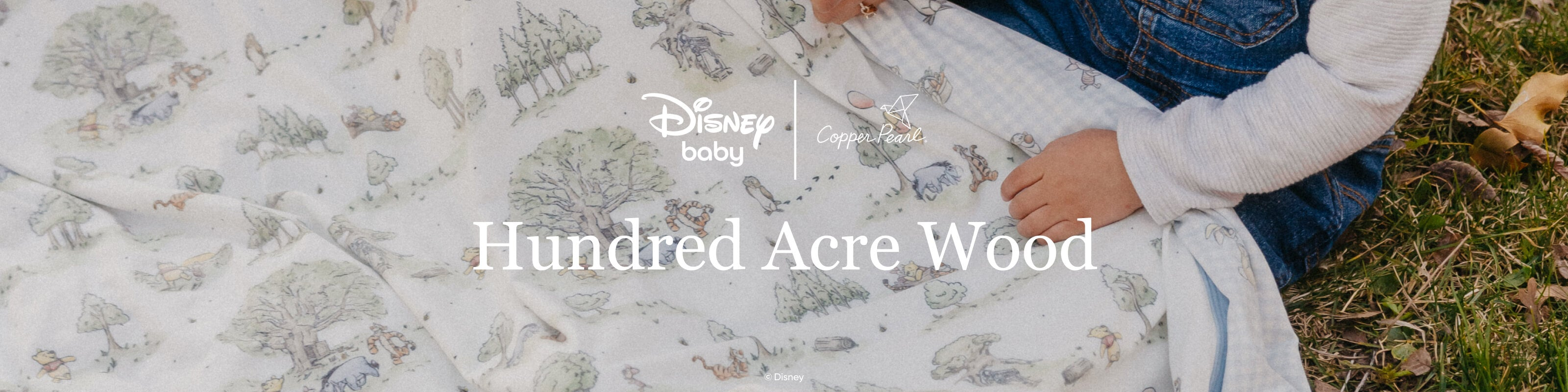 Hundred Acre Wood