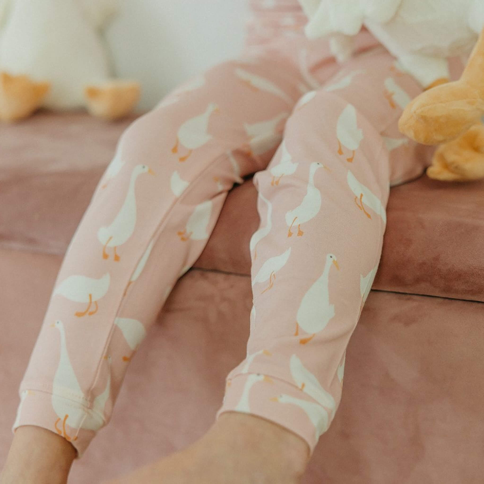 2pc Long Sleeve Pajama Set Goosie - Main