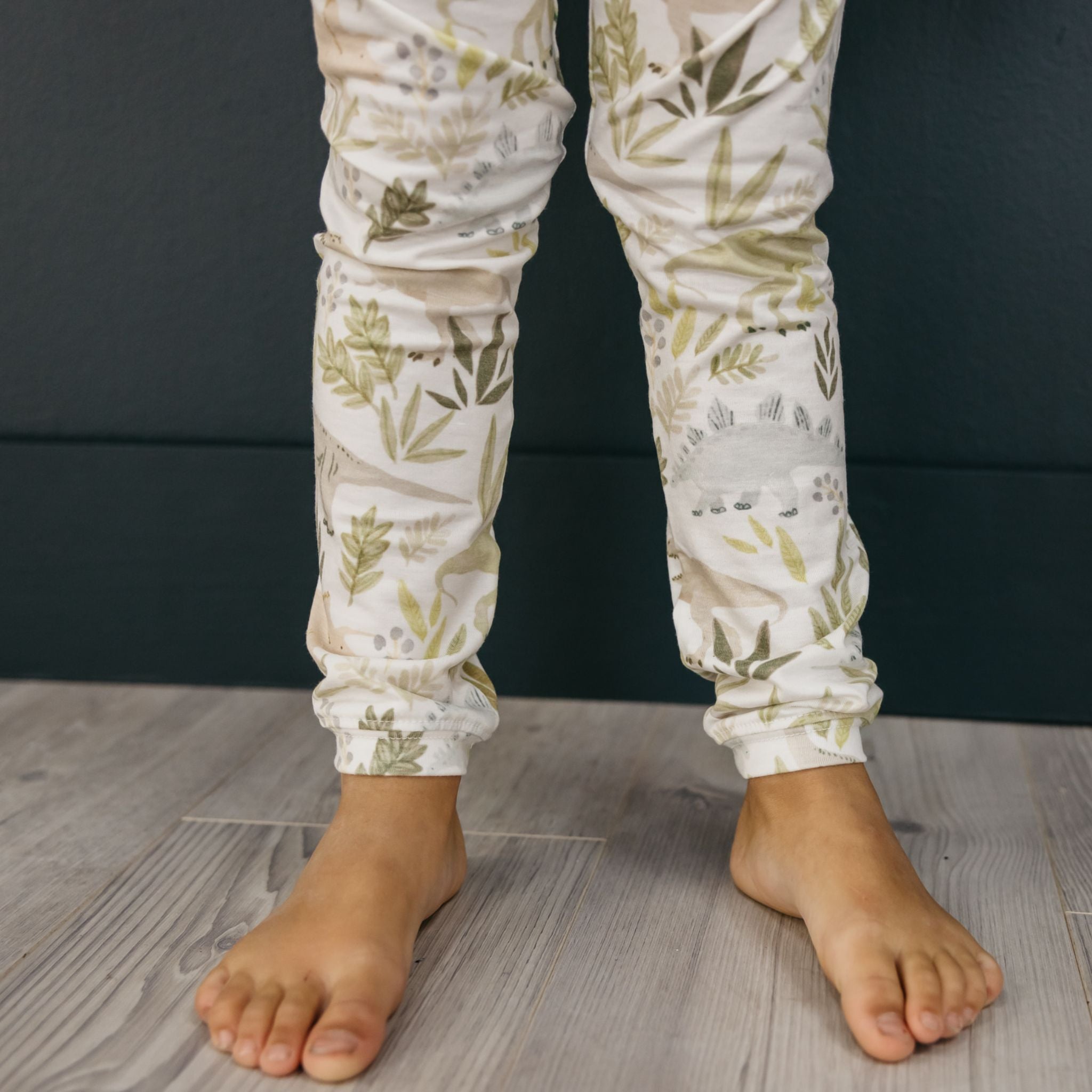 2pc Long Sleeve Pajama Set - Rex