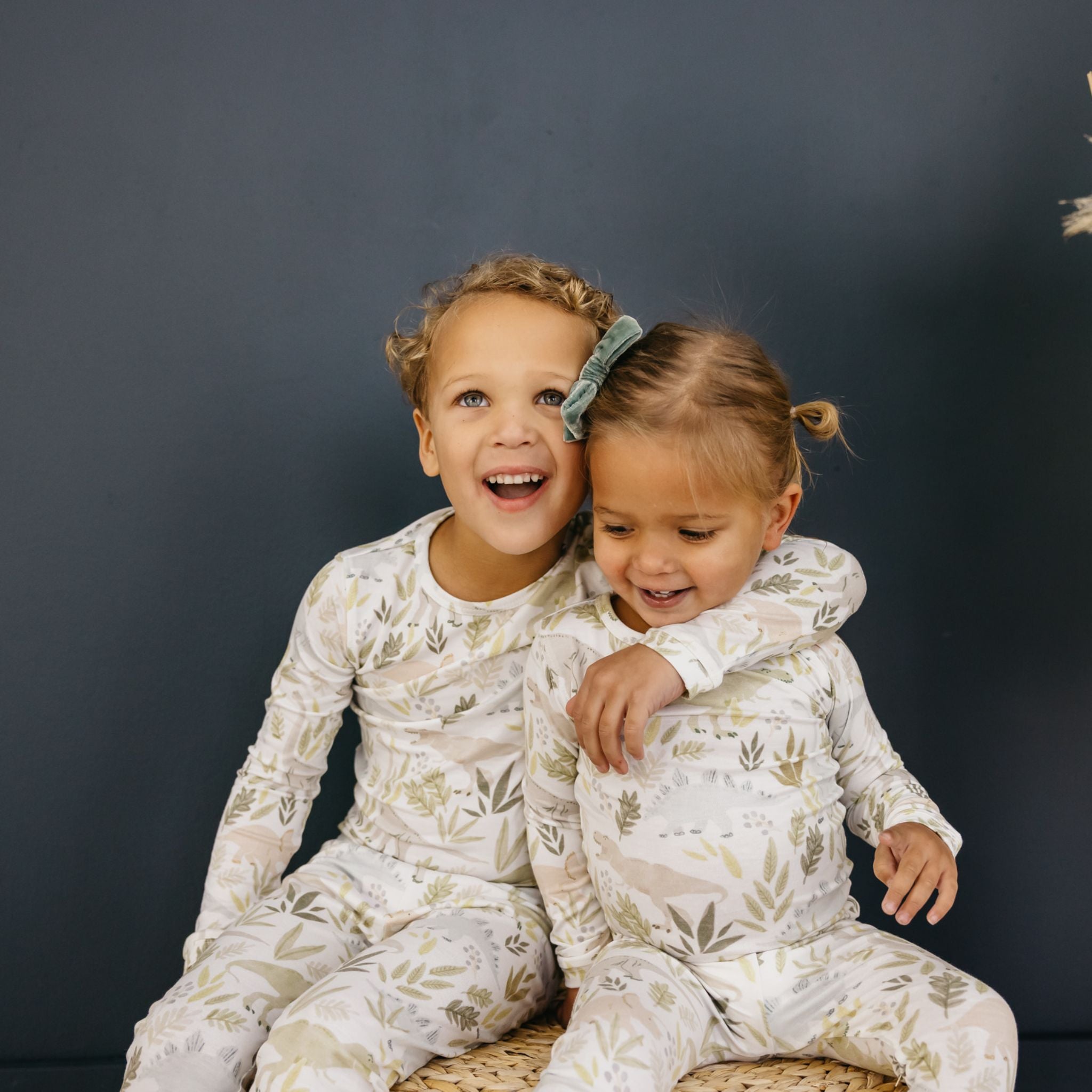 2pc Long Sleeve Pajama Set - Rex