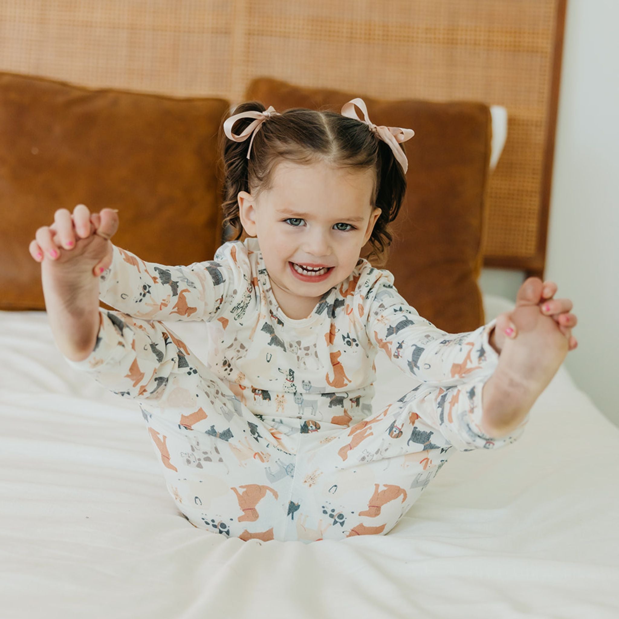 2pc Long Sleeve Pajama Set - Rufus