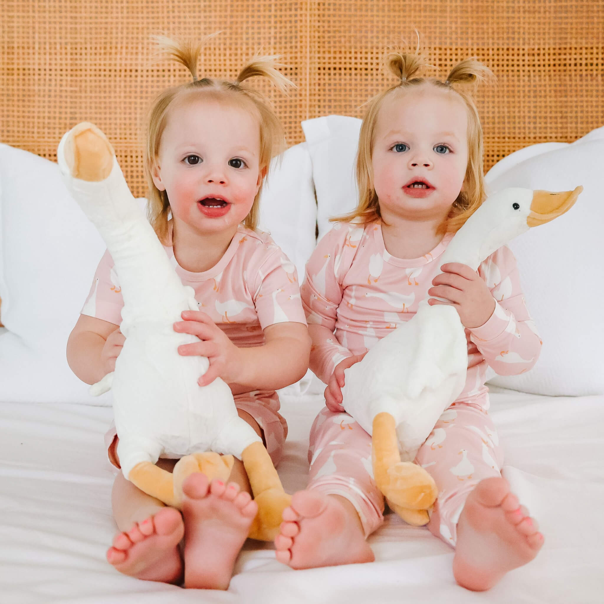 2pc Short Sleeve Pajama Set - Goosie