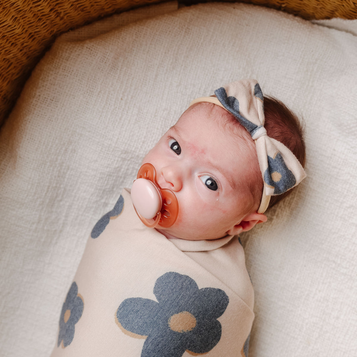 Bowtie Nylon Bow - Gemma In Tan