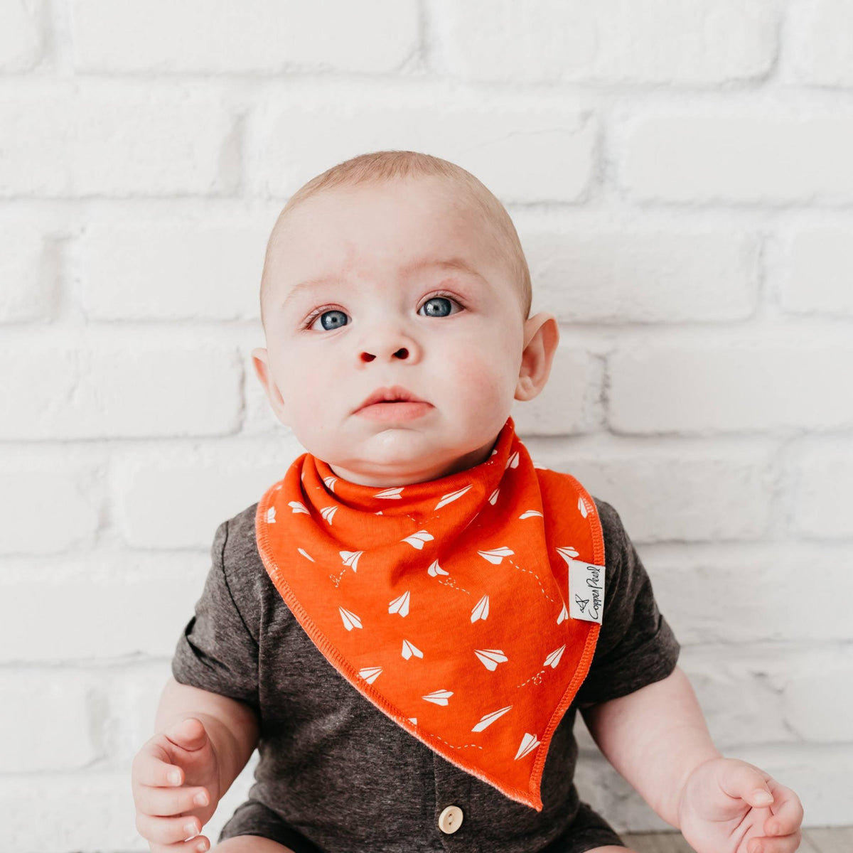 Baby Bandana Bibs - Ace