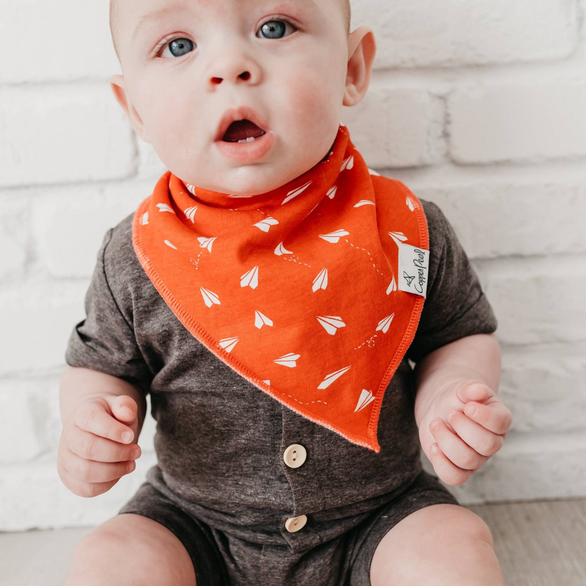 Baby Bandana Bibs - Ace