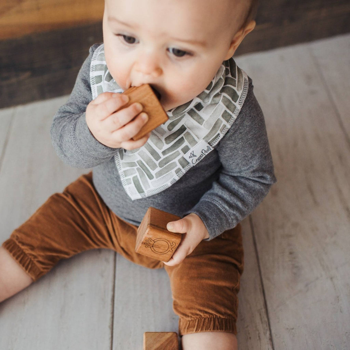 Baby Bandana Bibs - Alta