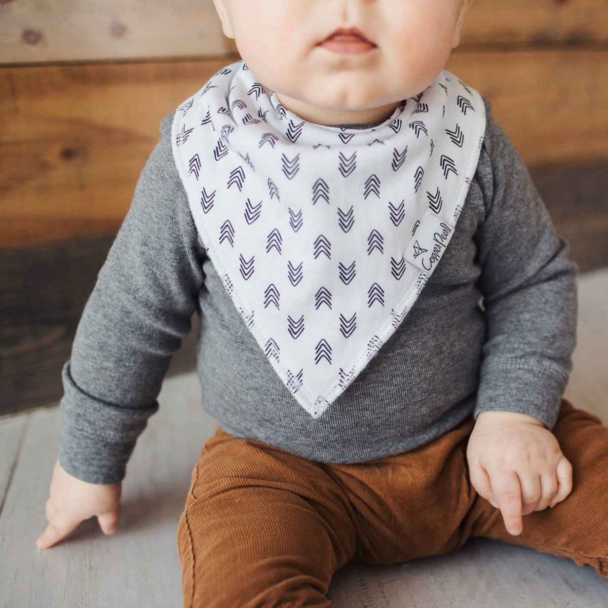 Baby Bandana Bibs - Alta