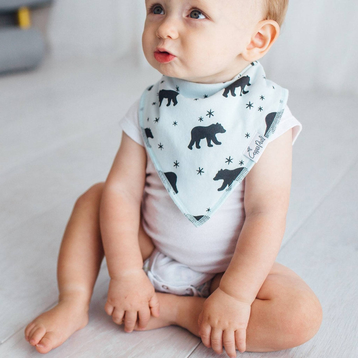 Baby Bandana Bibs - Archer