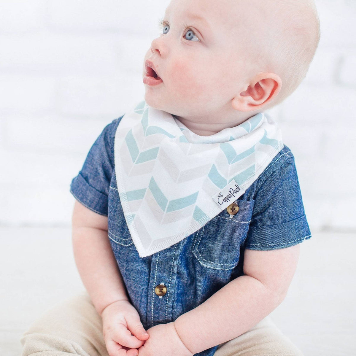 Baby Bandana Bibs - Archer