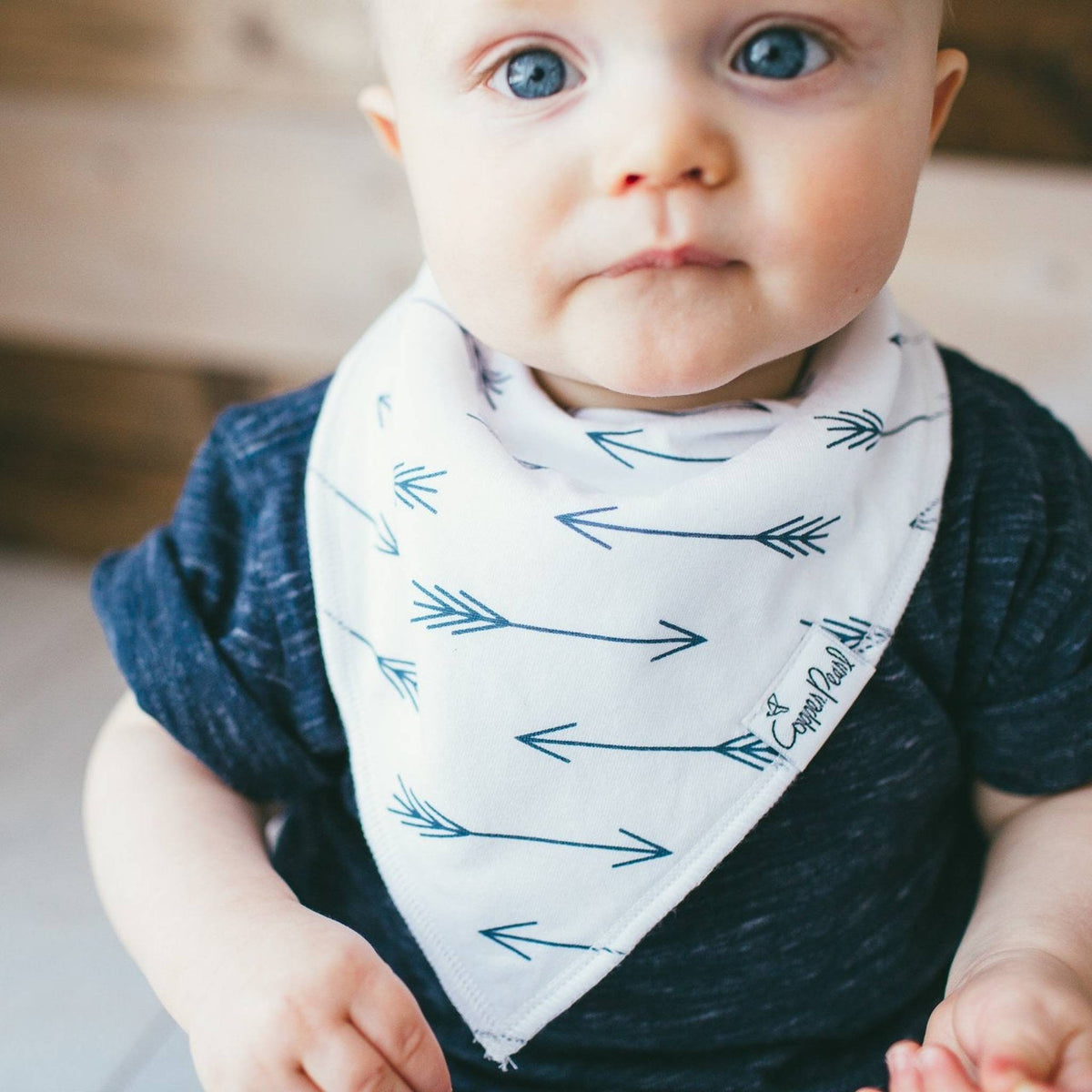 Baby Bandana Bibs - Archer