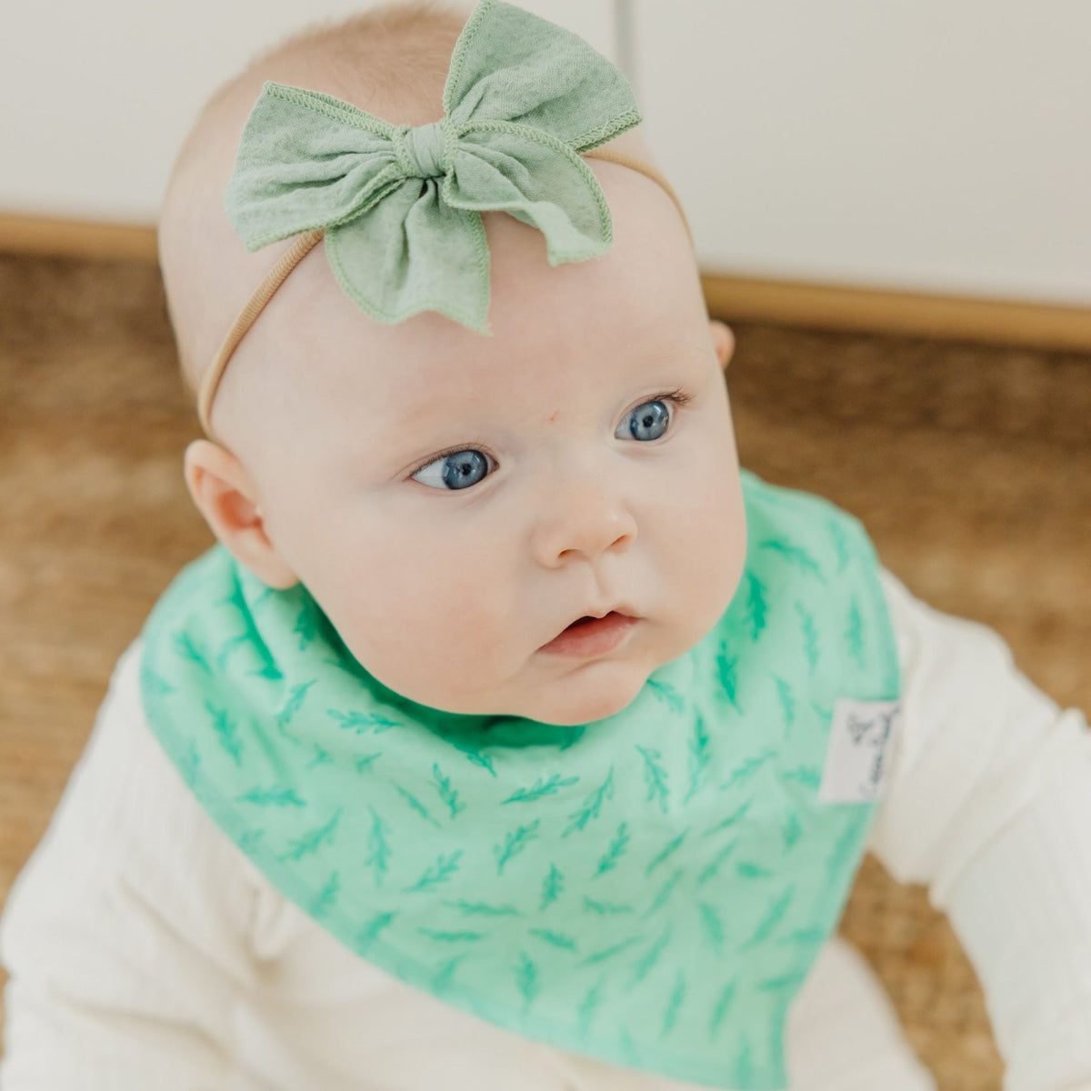 Baby Bandana Bibs - Birdie