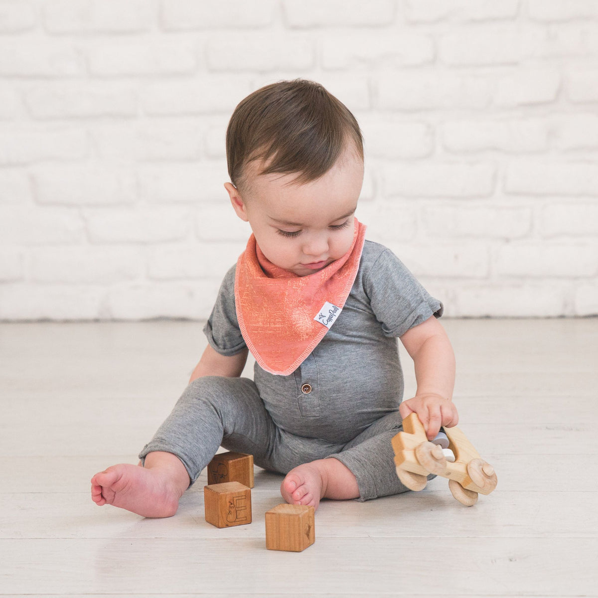 Baby Bandana Bibs - Bison