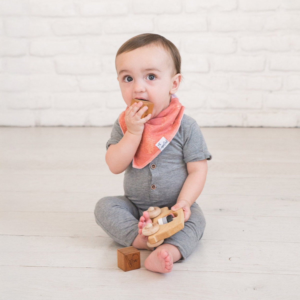 Baby Bandana Bibs - Bison