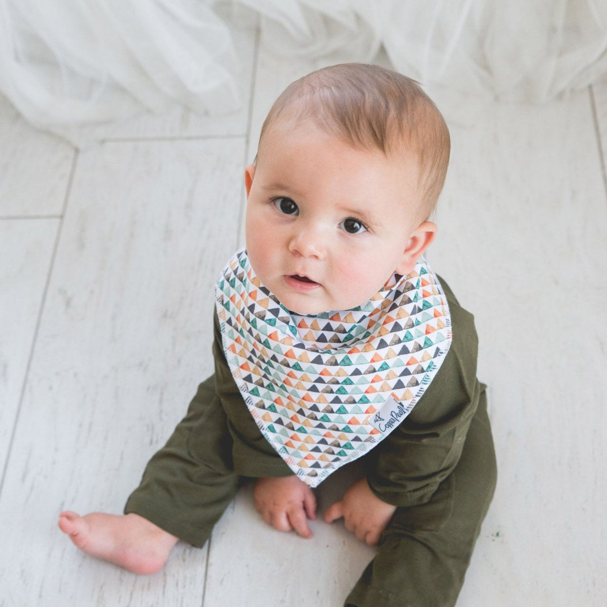 Baby Bandana Bibs - Bison