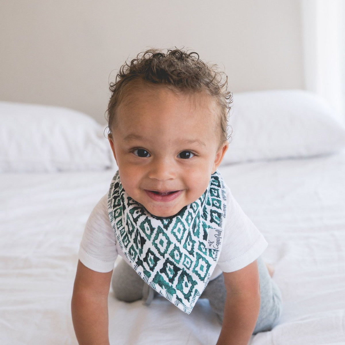 Baby Bandana Bibs - Bison