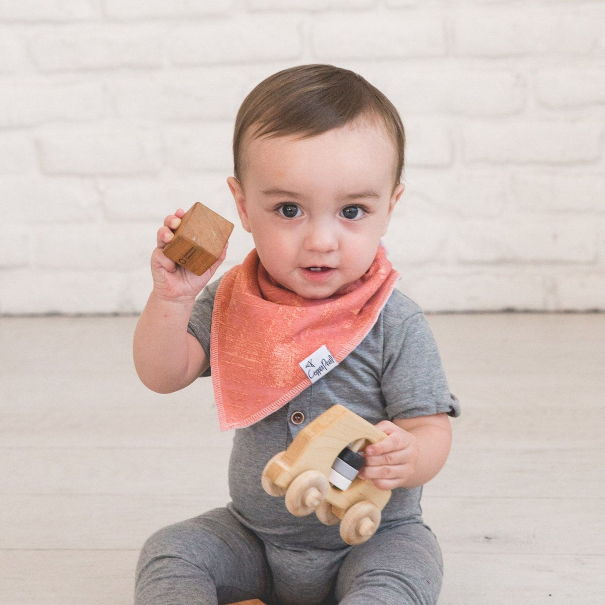 Baby Bandana Bibs - Bison