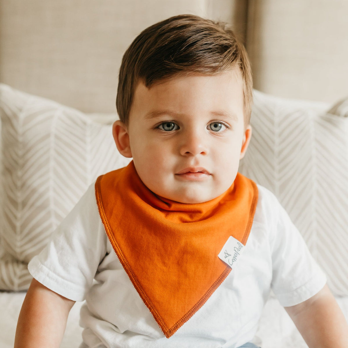 Baby Bandana Bibs - Blaze