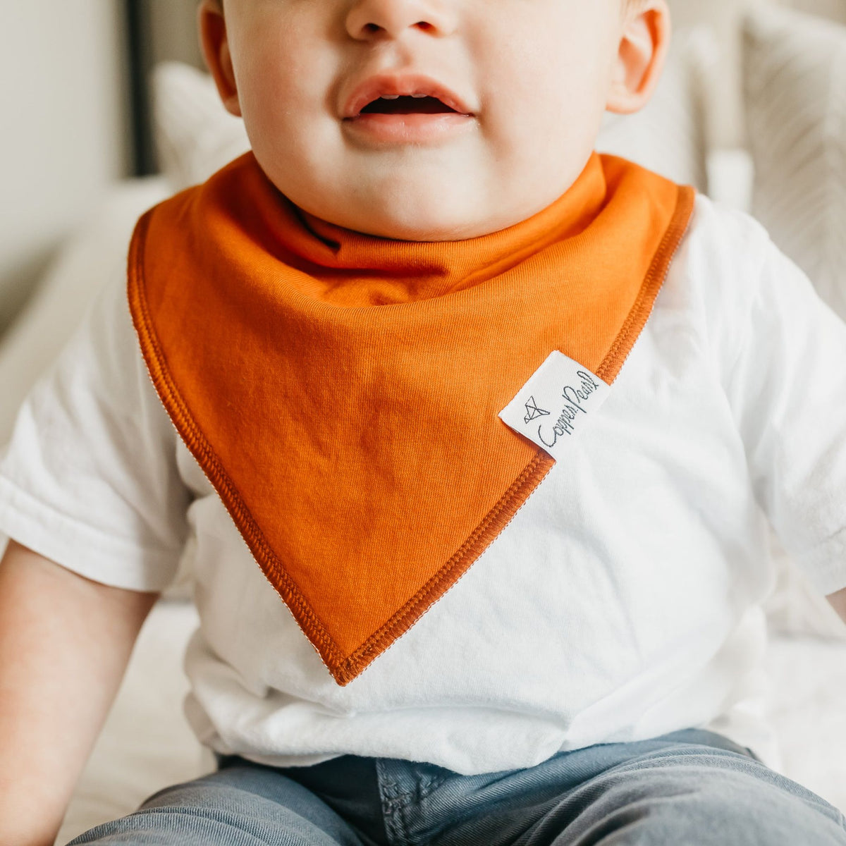 Baby Bandana Bibs - Blaze