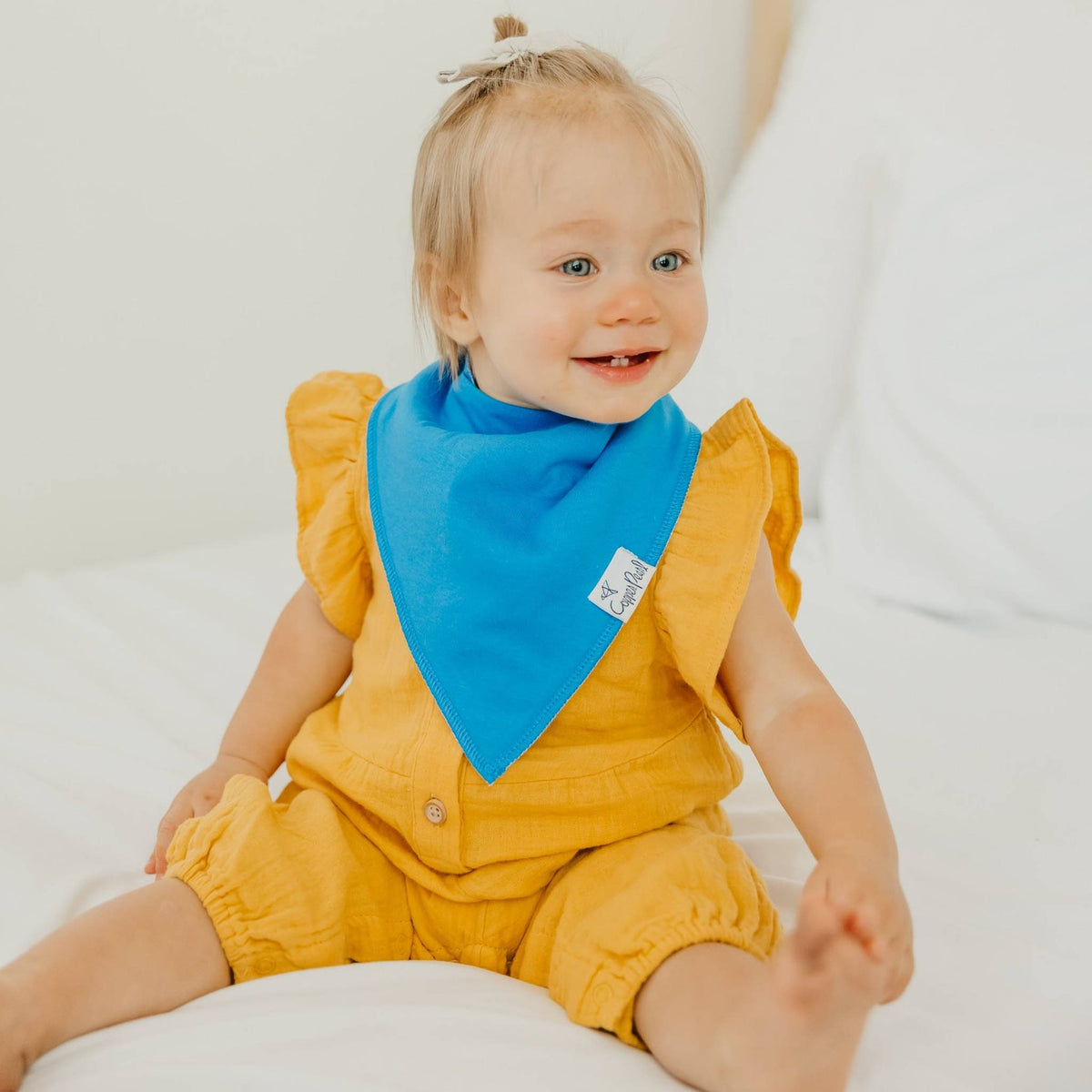 Baby Bandana Bibs - Blueberry