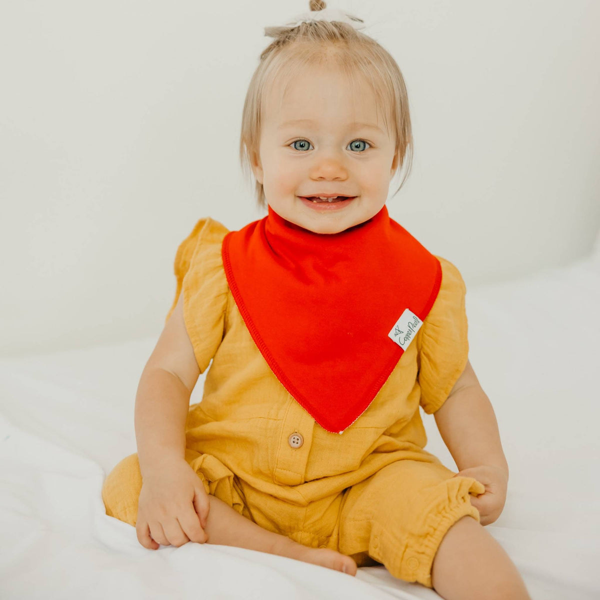 Baby Bandana Bibs - Blueberry