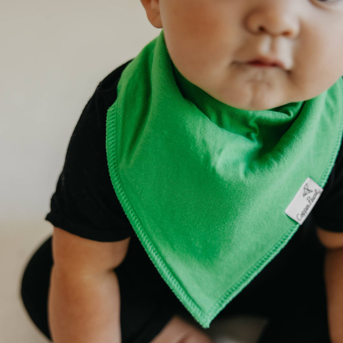 Baby Bandana Bibs - Blueberry