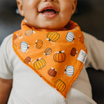 Baby Bandana Bibs - Bones