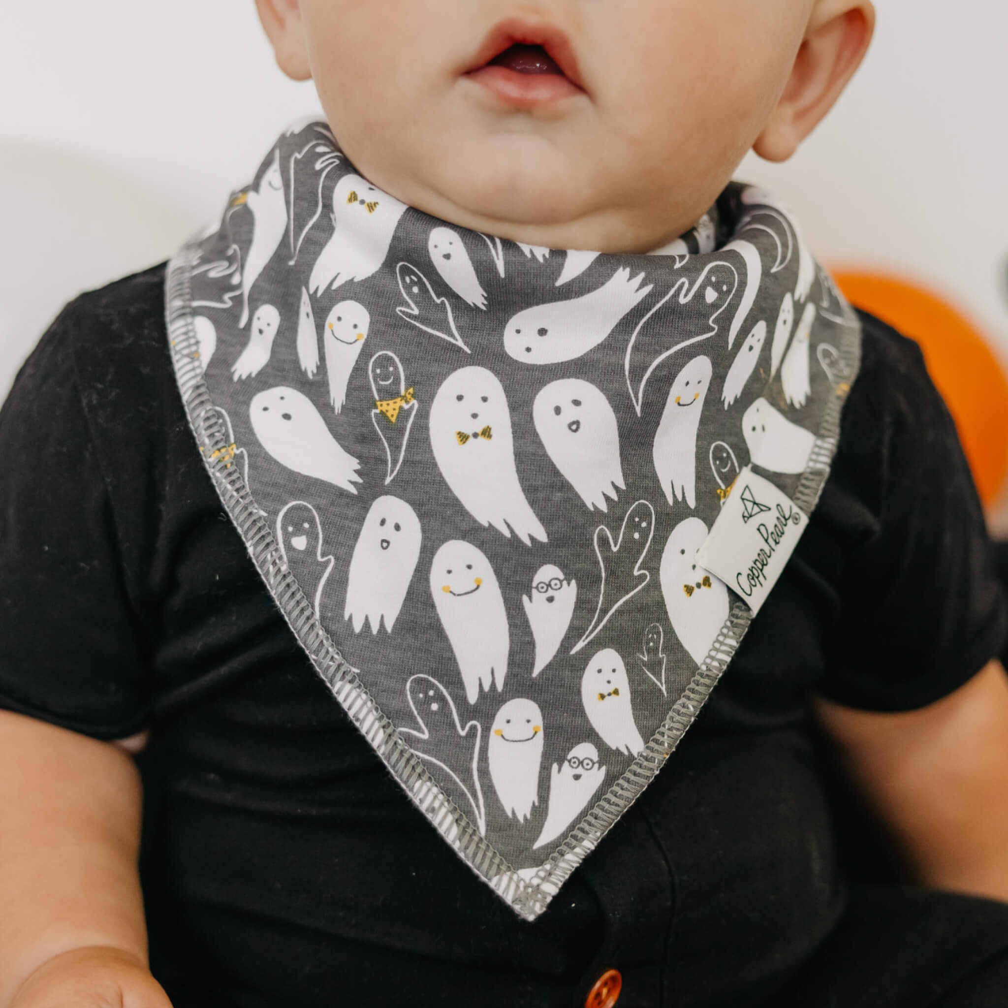 Baby Bandana Bibs - Bones