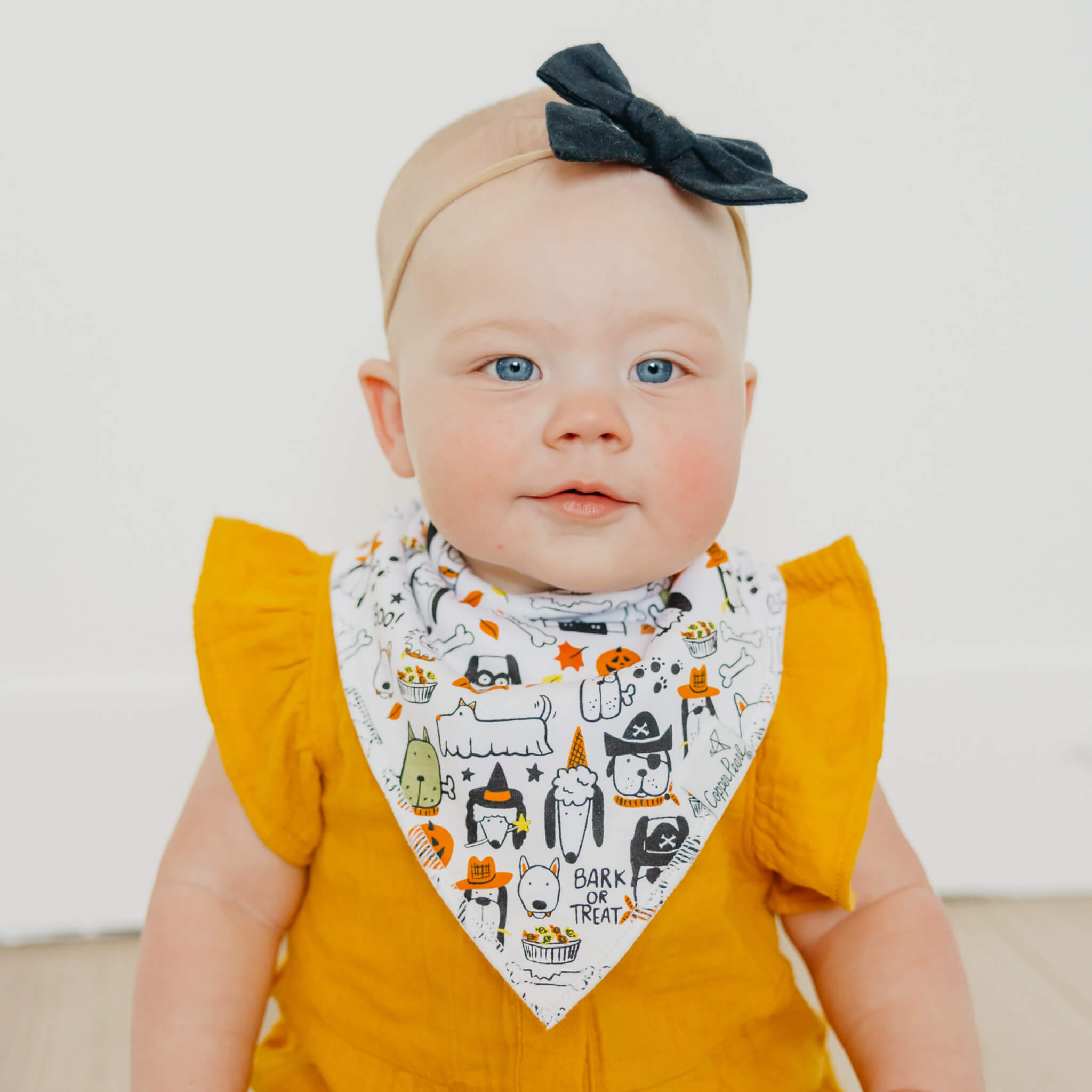 Baby Bandana Bibs - Bones