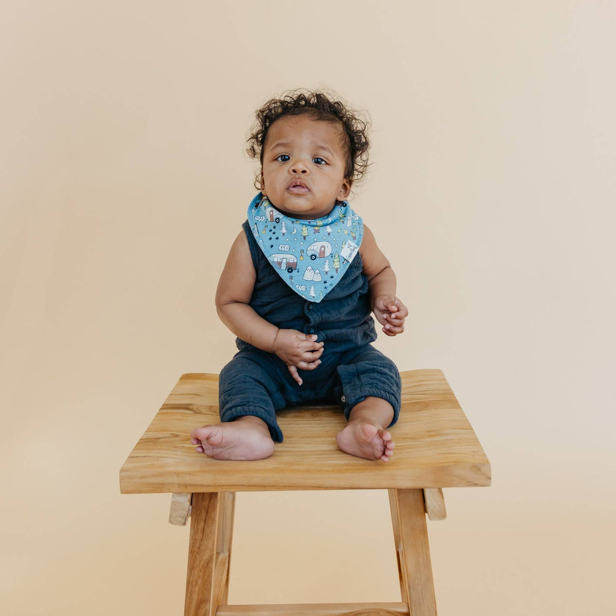 Baby Bandana Bibs - Bridger