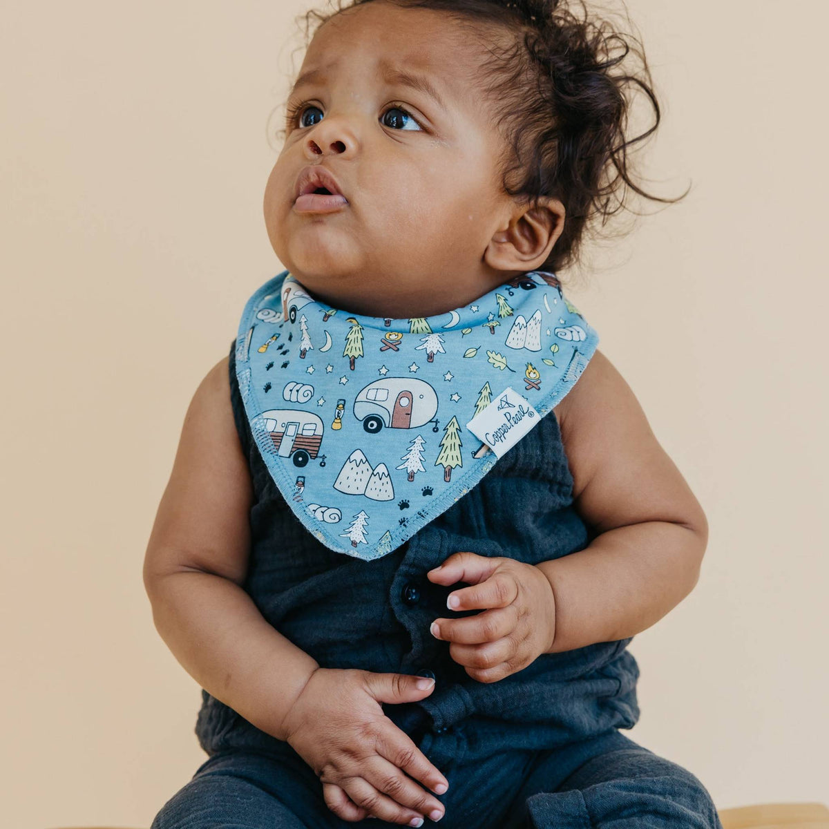 Baby Bandana Bibs - Bridger