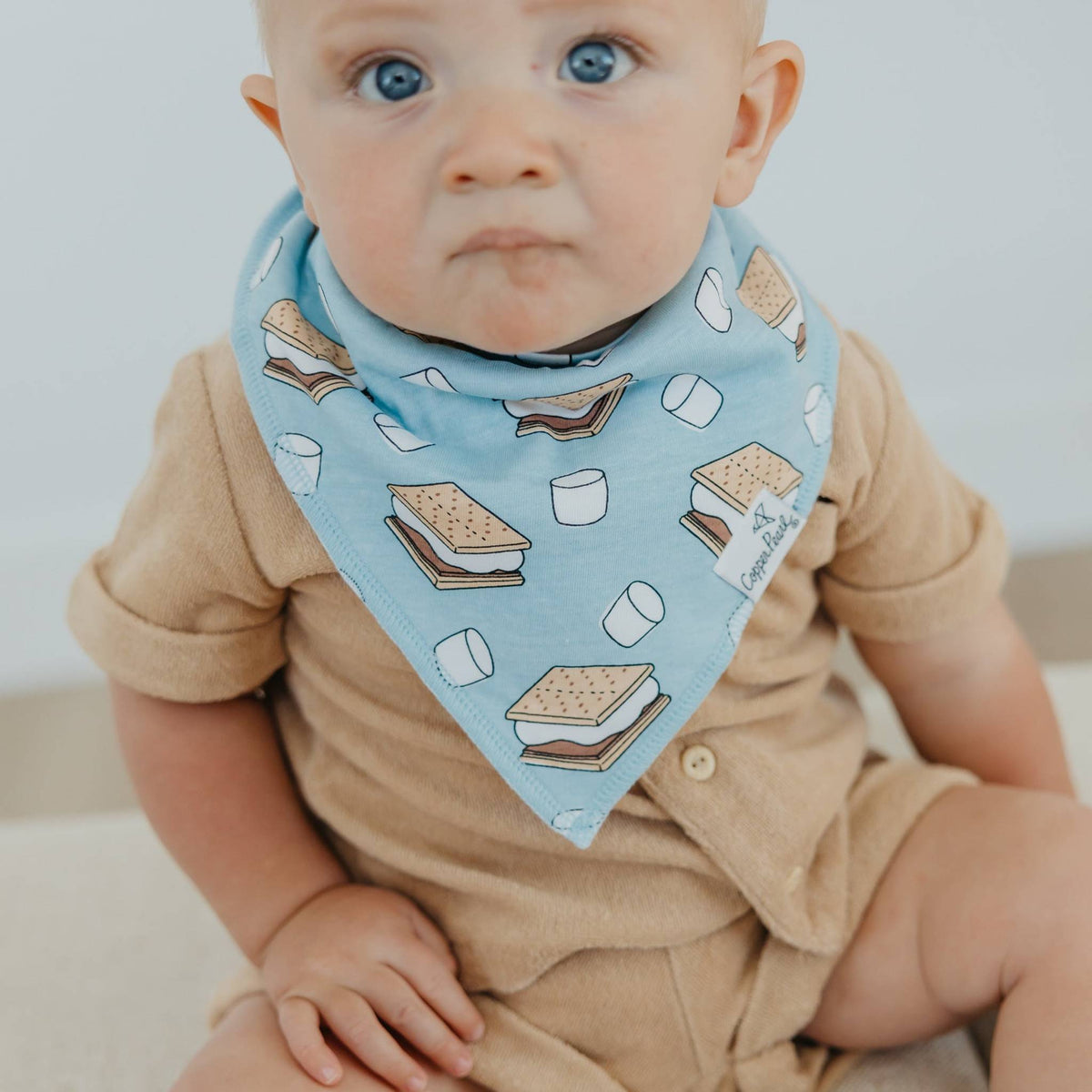 Baby Bandana Bibs - Bridger