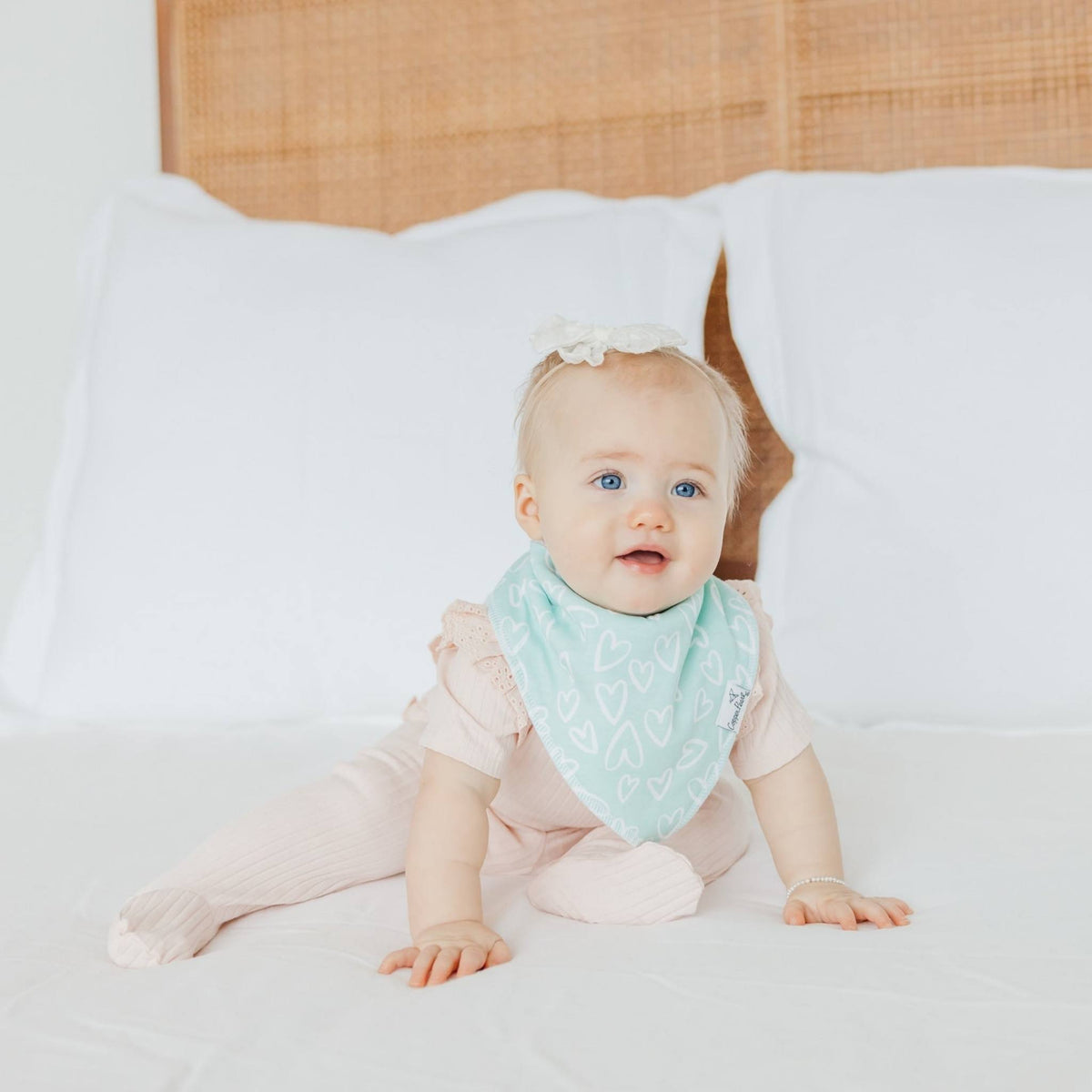 Baby Bandana Bibs - Cheery