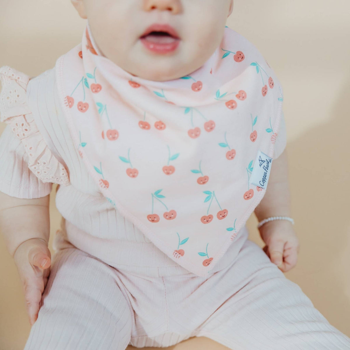 Baby Bandana Bibs - Cheery