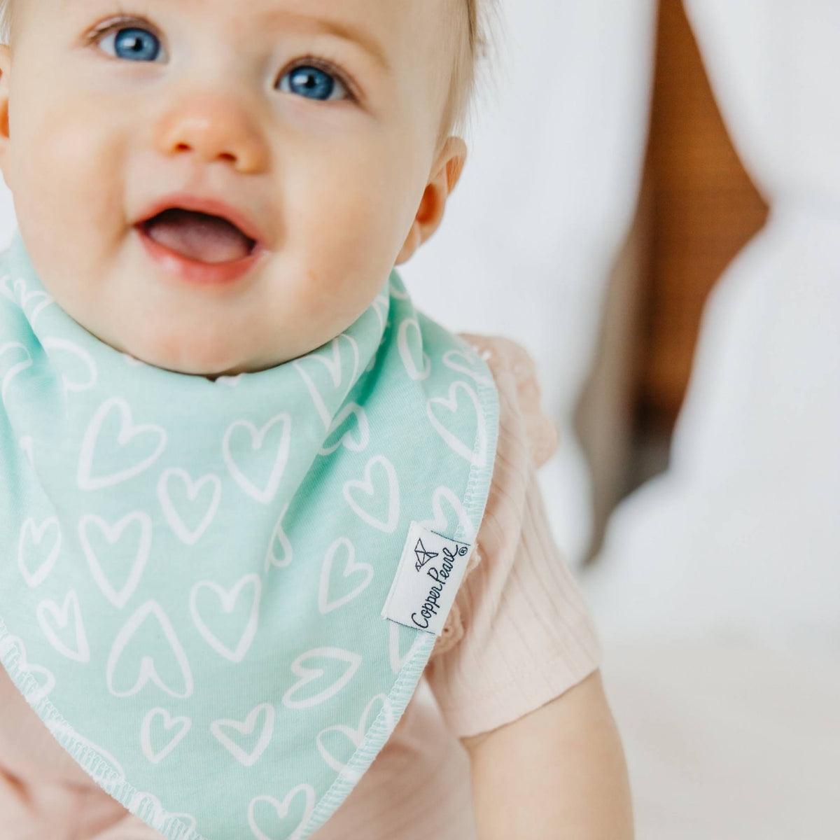 Baby Bandana Bibs - Cheery