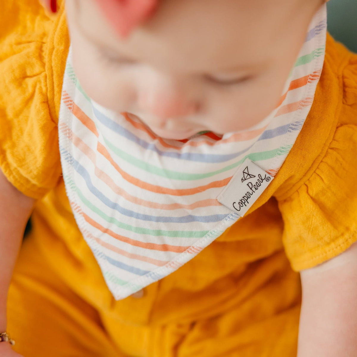 Baby Bandana Bibs - Cheery