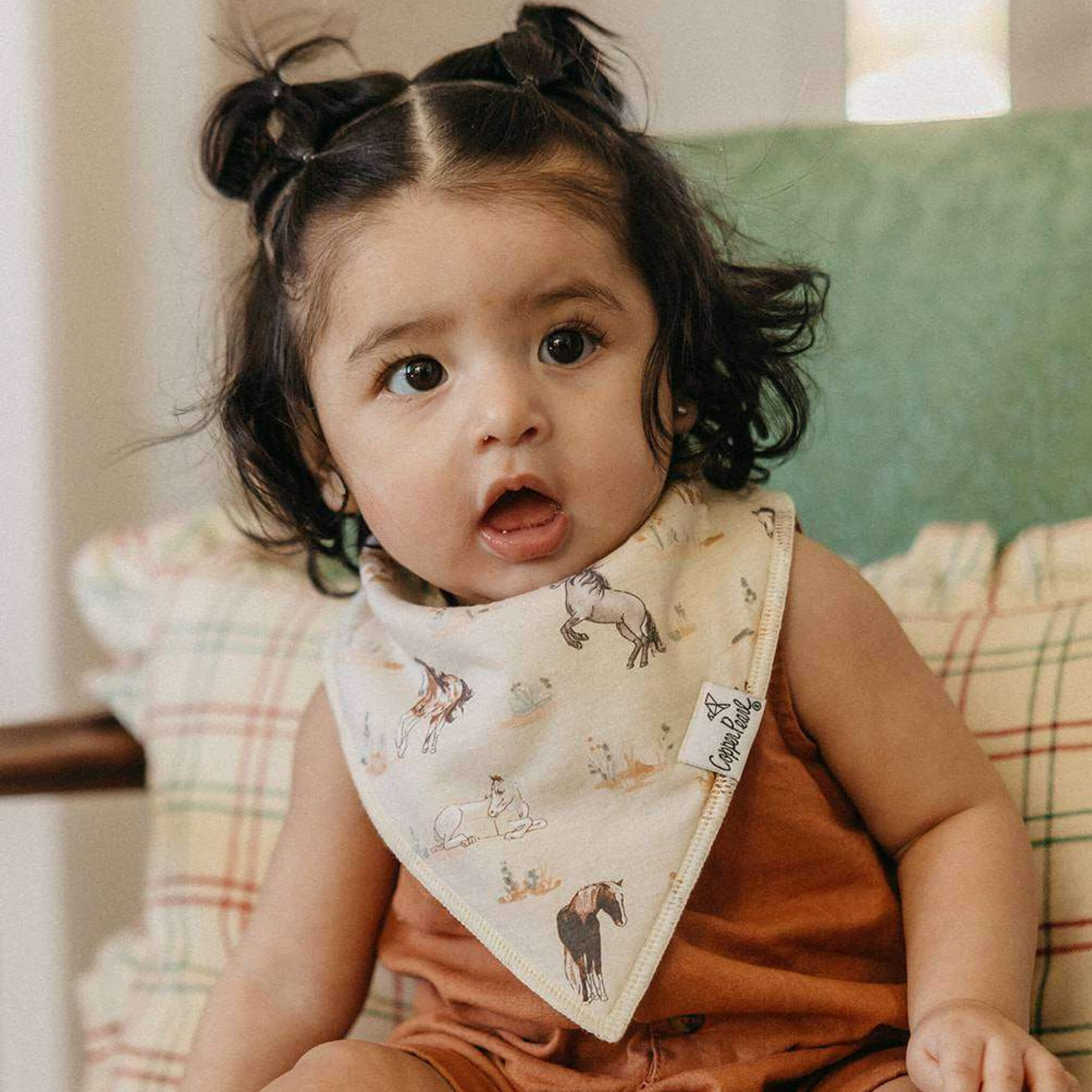 Baby Bandana Bibs - Cheyenne