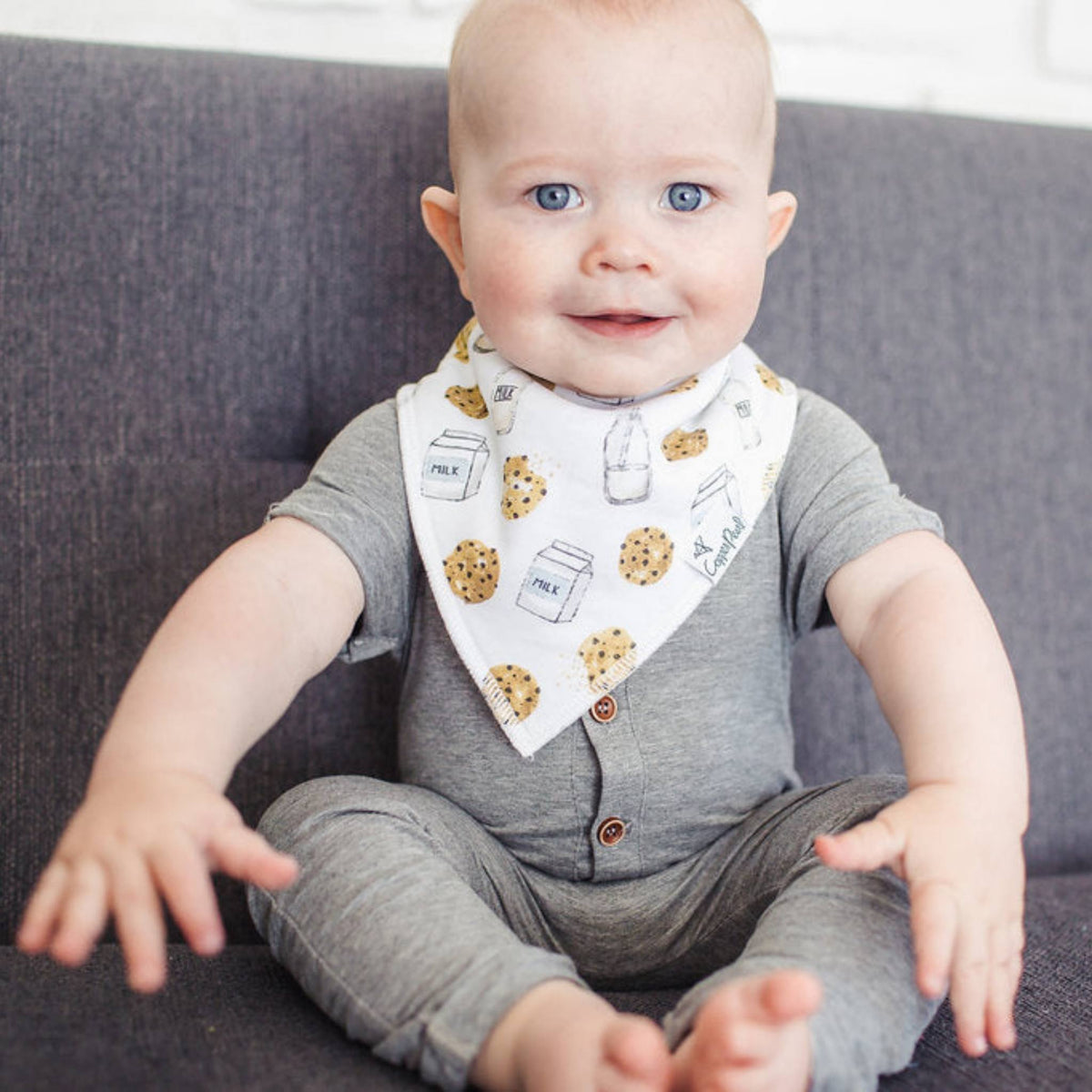 Baby Bandana Bibs - Chip