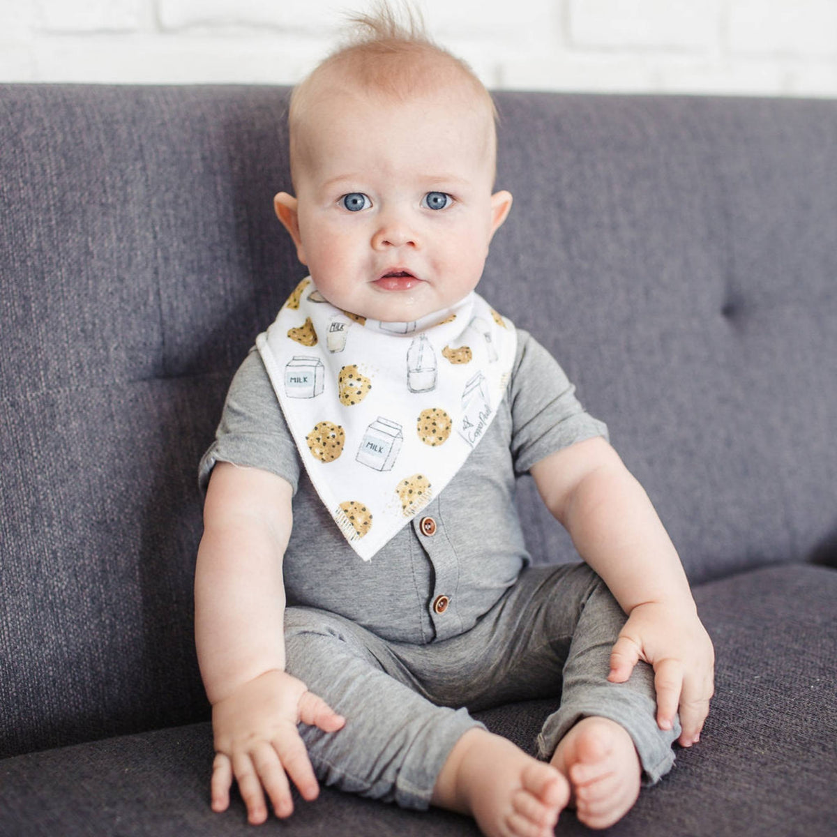 Baby Bandana Bibs - Chip