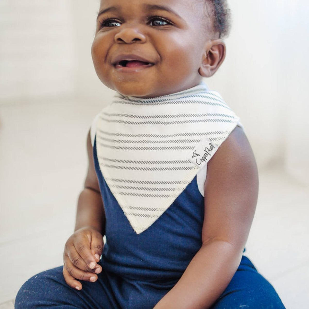 Baby Bandana Bibs - Chip