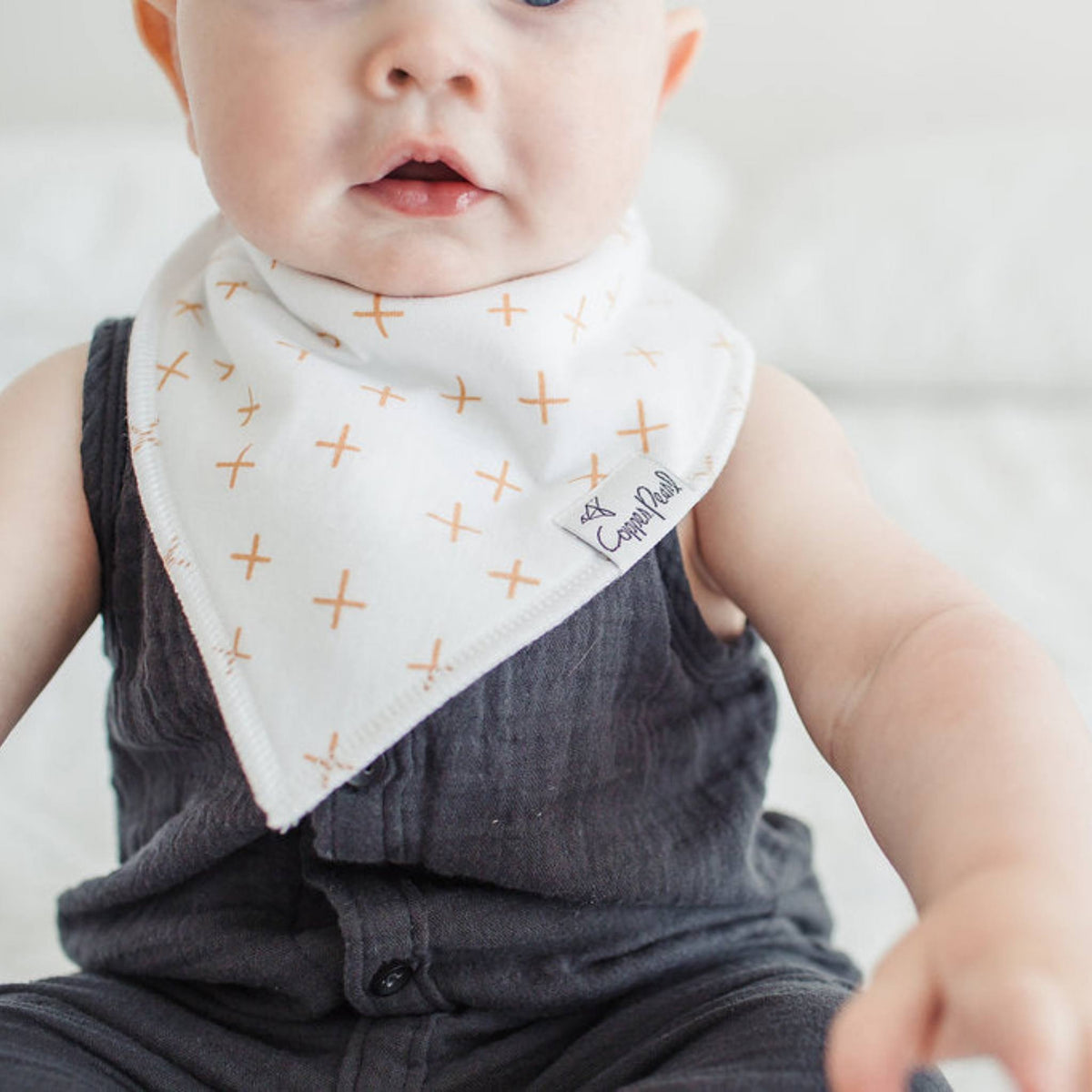 Baby Bandana Bibs - Chip