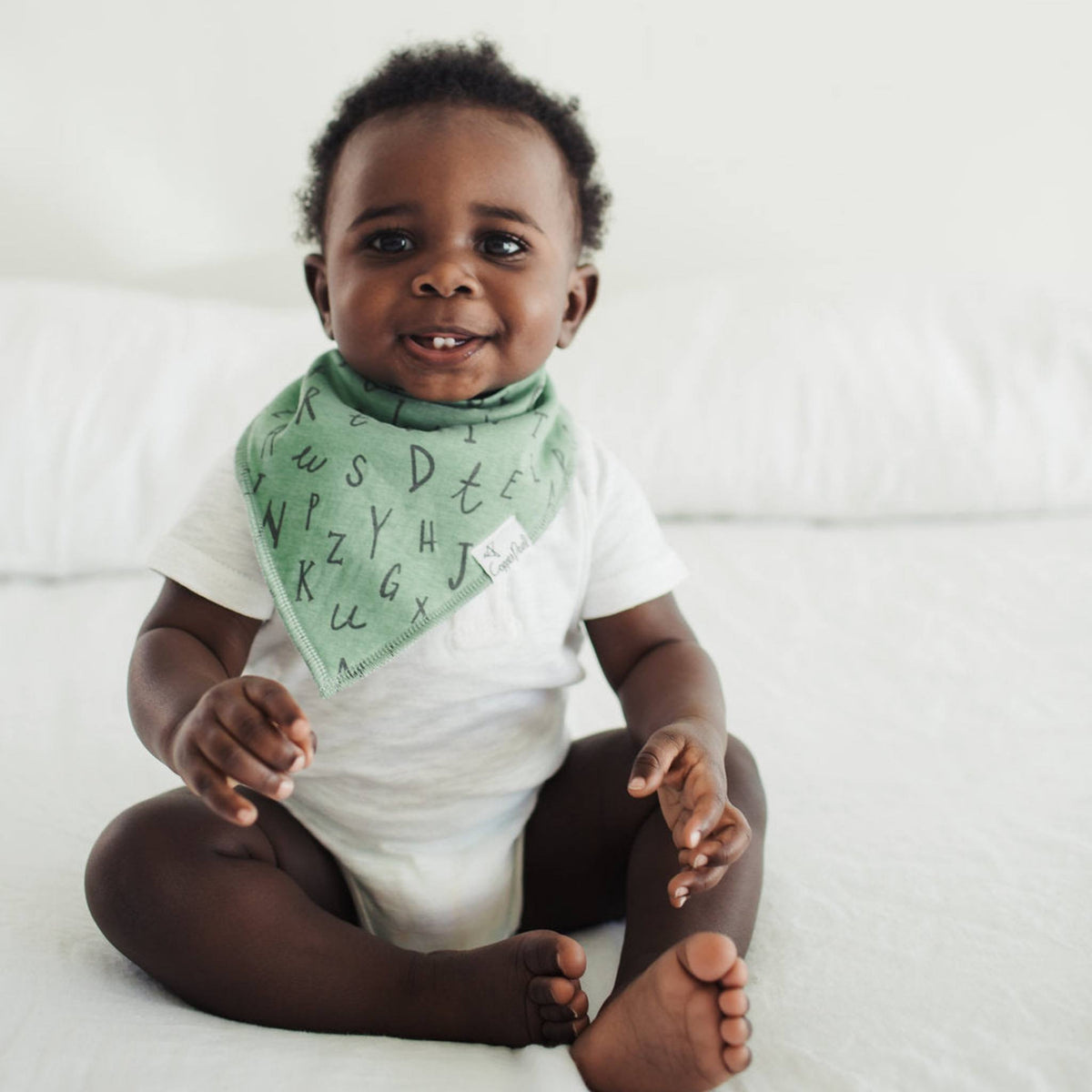 Baby Bandana Bibs - Chip