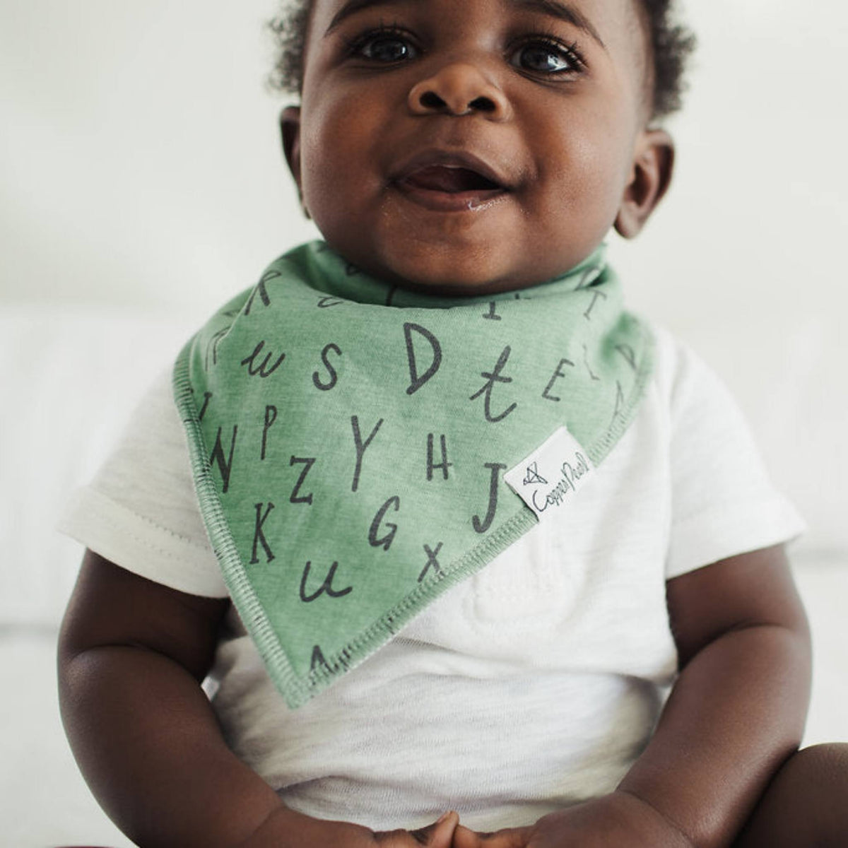 Baby Bandana Bibs - Chip