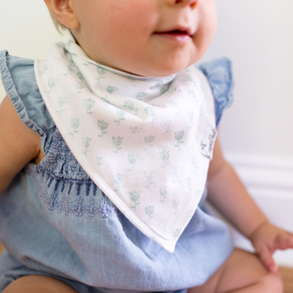 Baby Bandana Bibs - Claire