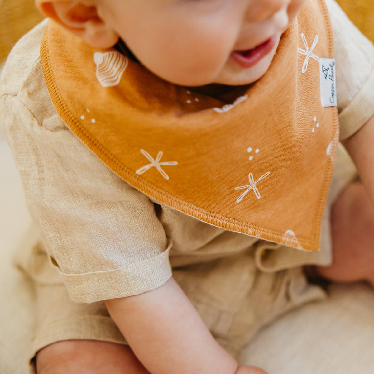 Baby Bandana Bibs - Cove