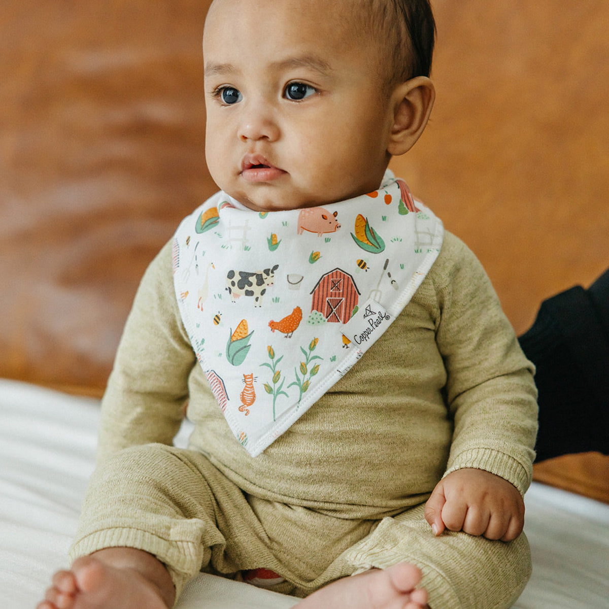 Baby Bandana Bibs - Farmstead